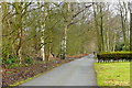 Footpath to Scotton