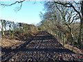 Bridleway into Oaks Wood