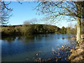 A pool in a field near Oaks