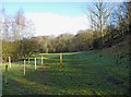 Path and marker post, Springfield Park