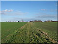 Farm track near Marshborough Farm