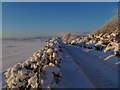NJ7061 : Winter  view down the minor road near to  Lower Wanford Cottages by Alastair Young