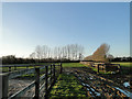 Paddocks at Town Farm, Chediston