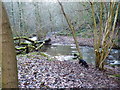 Bridleway ford through the Pontesford Brook