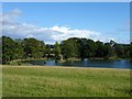 Ornamental lake at  Aske Hall