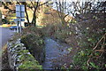 The view upstream on Colam Stream from a bridge in Muddiford