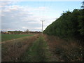 Footpath towards Lower Weddington Farm (2)