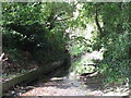 The River Ravensbourne, Shortlands Golf Course