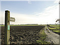 Footpath No.28 and roadway to Broad Oak Farm