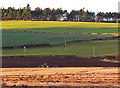 Farmland near Fingask