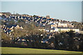 Plymouth : Central Park - Houses on the Hillside