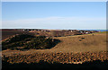 Cullen from Crannoch Hill