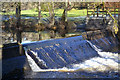 SJ0119 : Weir on Afon Efyrnwy by John Firth