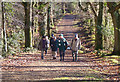 New Forest Walkers