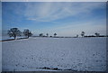SP7455 : Snow covered field near Milton Malsor by N Chadwick