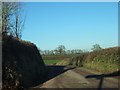 Road to Clyst Hydon