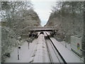 Snowy Falconwood station