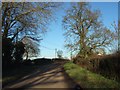 Road to Talaton from near Venn Cross