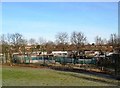 Cockerton allotments Darlington