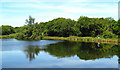 Rose Park fishery near Treween