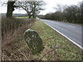 Hognaston, milestone