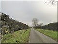 TF9639 : Narrow country road near Ellis Farm, Wighton by Adrian S Pye