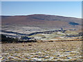 Frosty pastures west of Clargillhead