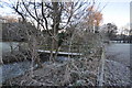 A footbridge over Bradiford Water just upstream from Bradiford