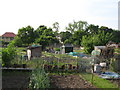 Forster Road Allotments, Elmers End