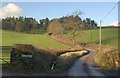 Lane at Lower Burston