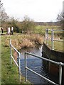 The River Ravensbourne - East Branch