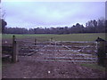 Entrance to field, Headley Road, Tyrrells Wood