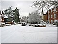 A snow-covered Albury Road