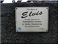 Plaque, The Ghost of Elvis