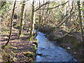 Stream in the Jericho Valley below Barkla Shop