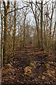 Footpath between Curbridge and Whiteley