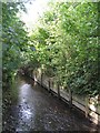 The Quaggy River, Weigall Road Sports Ground