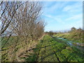 Barnham Church to Merston Church (5)