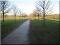 Path through Pontcanna Fields