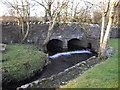 Bridge at Dyffryn Mill