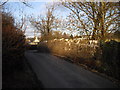 Bridge at Dyffryn Mill