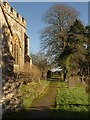 Path beside church, Morchard Bishop