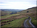 The bridleway to Coverdale