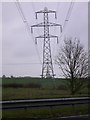 Line of pylons viewed from the A31 near Holybourne