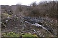 Disused quarry in Carmel National Nature Reserve