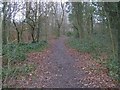 Lakeside Walk - Woodhall Park - Woodhall Lane