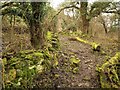 Path, Timbercombe