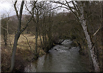SE5588 : River Rye by Trevor Littlewood