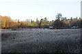 Pond Field Silwood Park