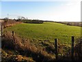 Lurganboy Townland